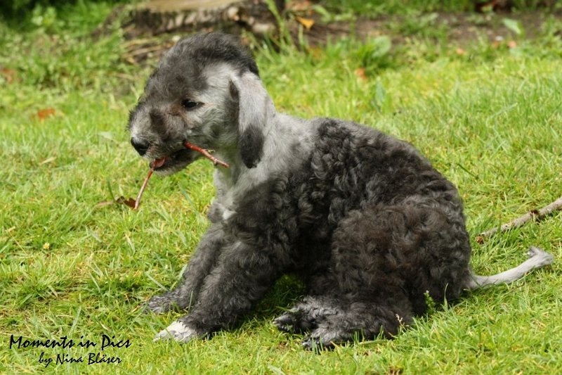 Antares 2009-07-12 (33).JPG